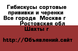 Гибискусы сортовые, прививки и черенки - Все города, Москва г.  »    . Ростовская обл.,Шахты г.